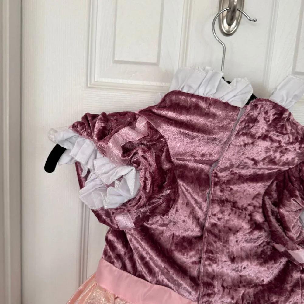 EUC Ministry of Rascals Pet Princess Dog Costume, Pink Dress with Tiara, Large